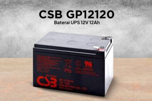 CSB_GP12120